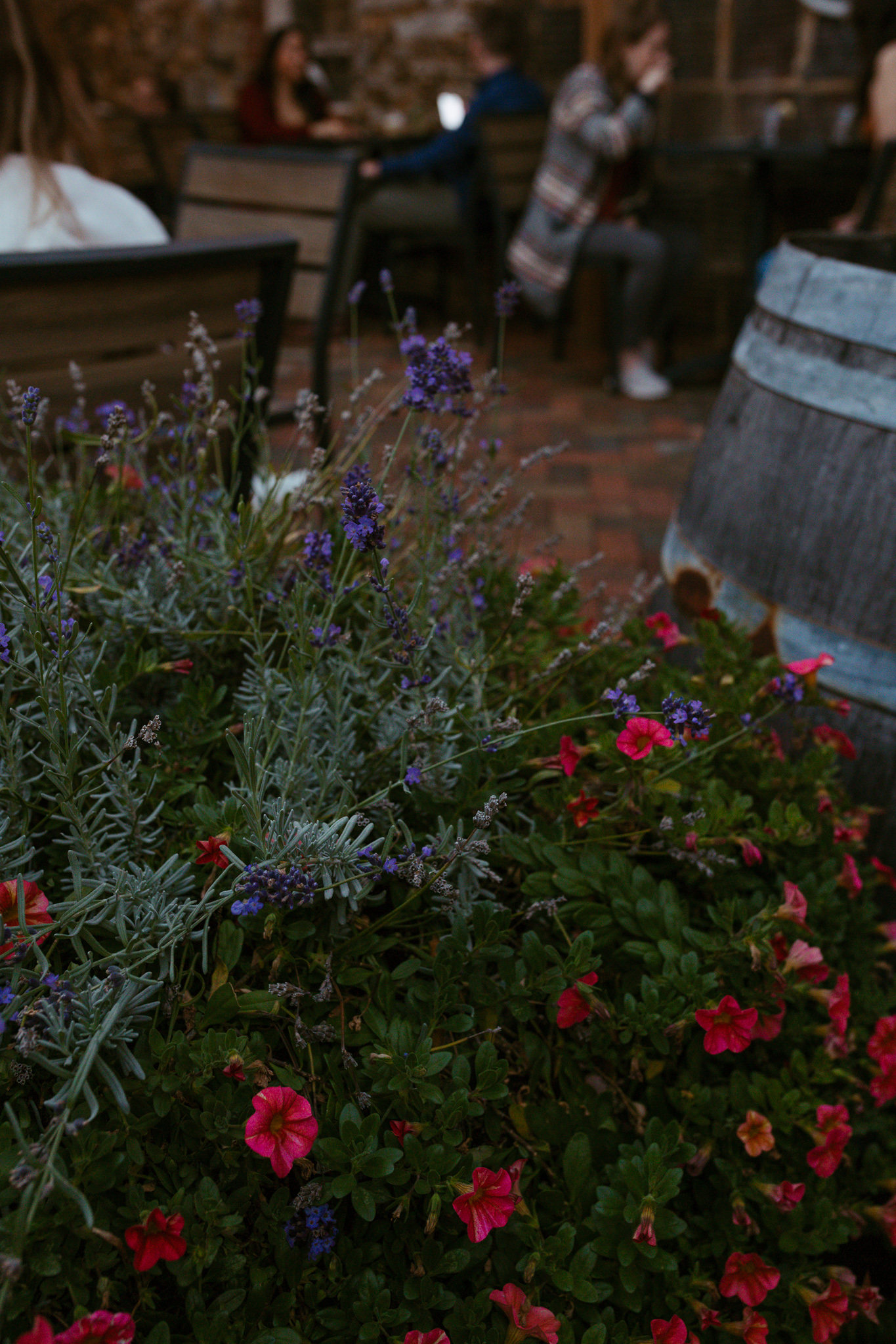 frederick-maryland-engagement-photos-attaboy-beer-baker-park-frederick-engagement-photographer