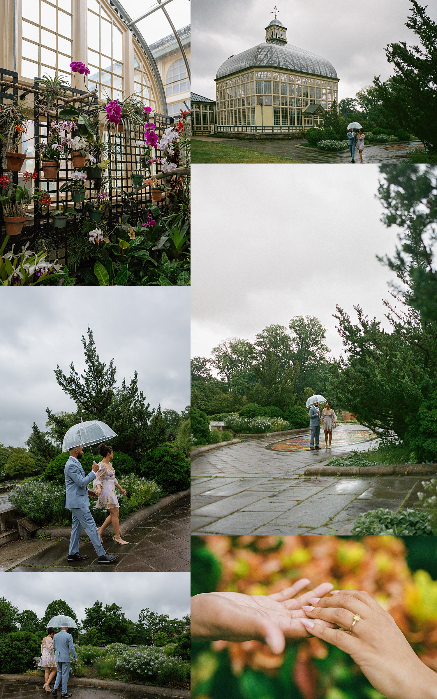a big greenhouse on sweeping garden lawns by Maryland wedding photographer