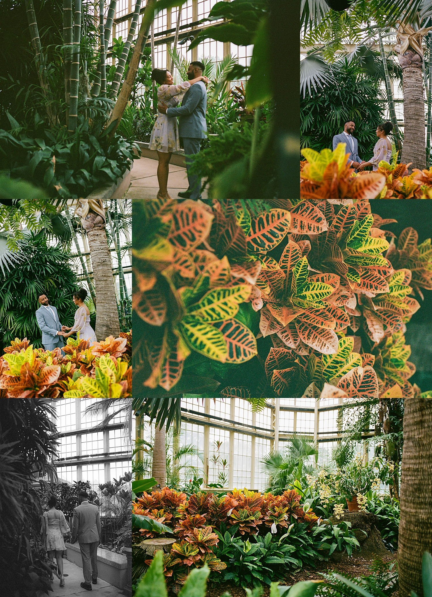 bride and groom to be stand among the plants and flowers by Sharp Impressions Photo