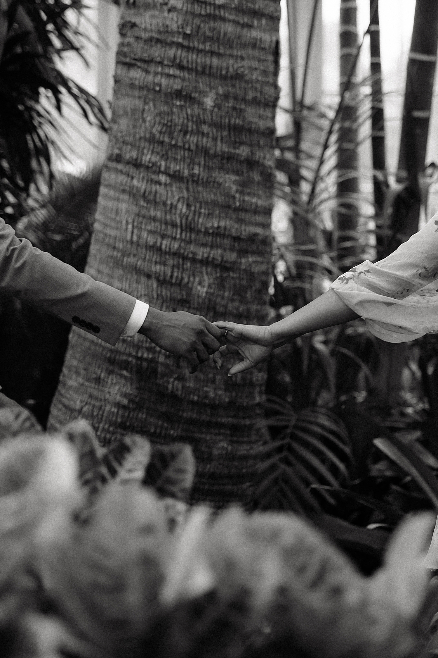 man and woman reach hands out to touch in greenhouse at Rawlings Conservatory