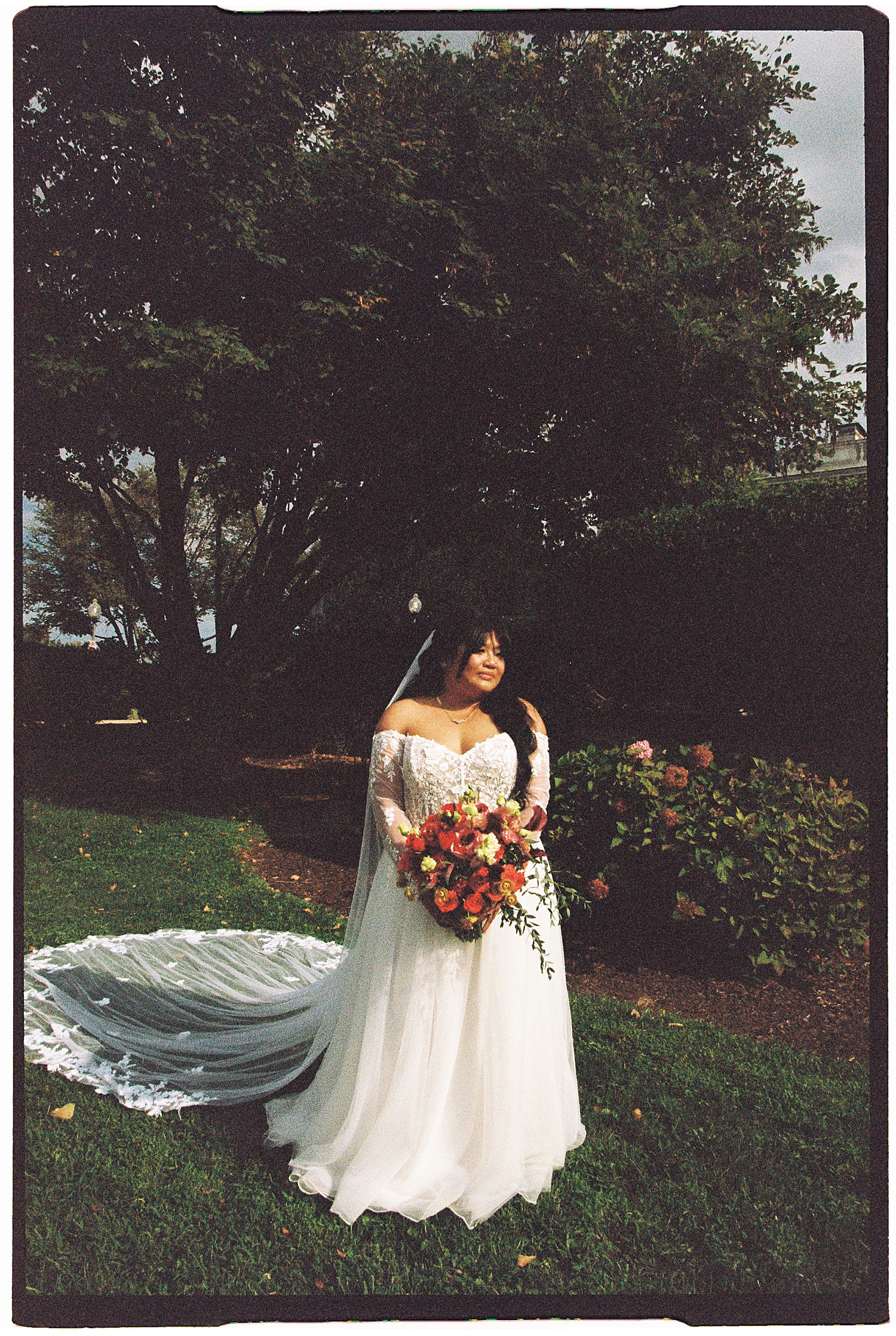 bride in lace gown in garden by Sharp Impressions Photography